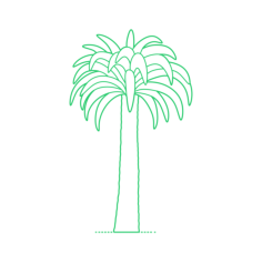 Plants Cycads Woods Cycad Laser Cut Svg File, Free Vectors File